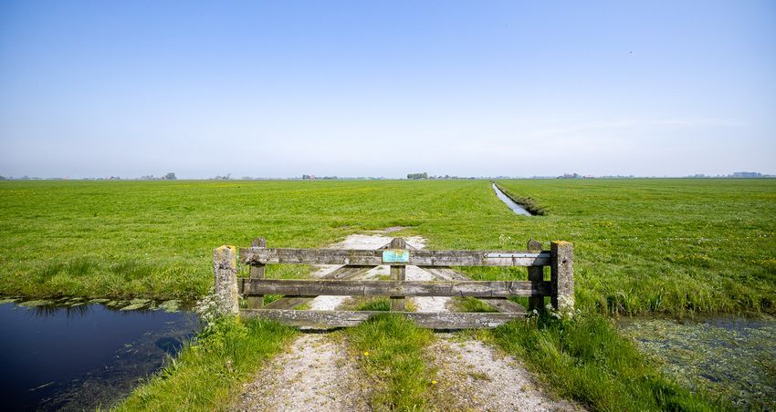 Foto Idzegea weiland met sloten eromheen en een hek ervoor